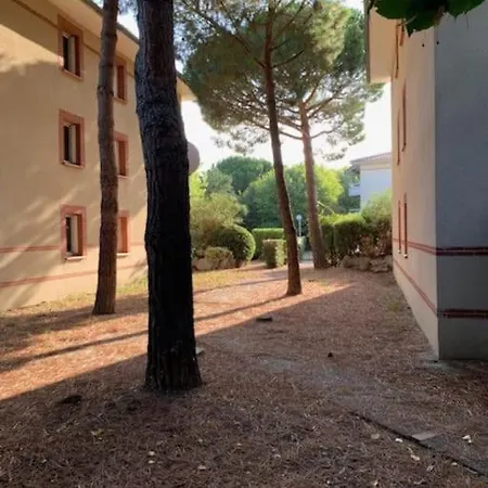 T1 Résidence Sporting 1er étage *